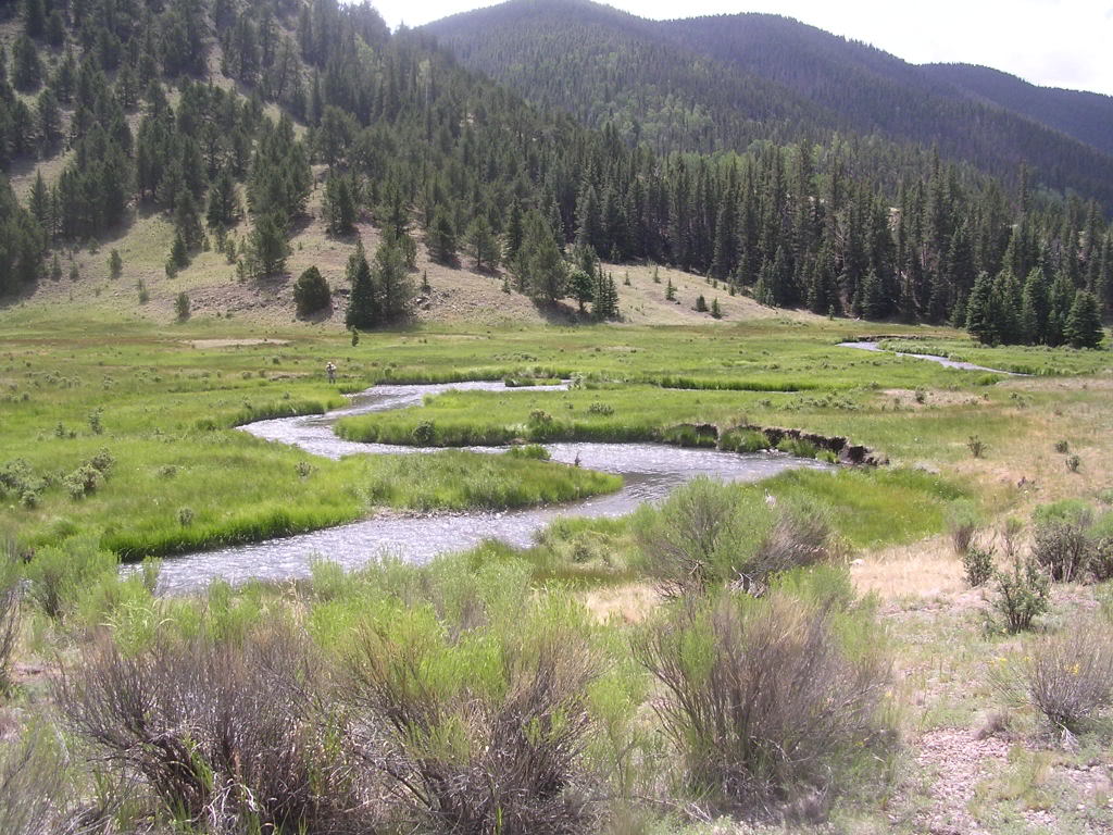 Fly Fishing Rio Costilla New Mexico