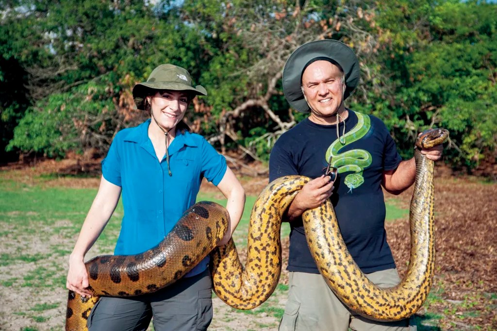NMHU researchers discover new species of Giant Anaconda in South