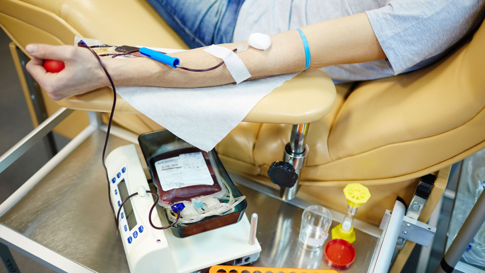 How To Donate Kidney For Money