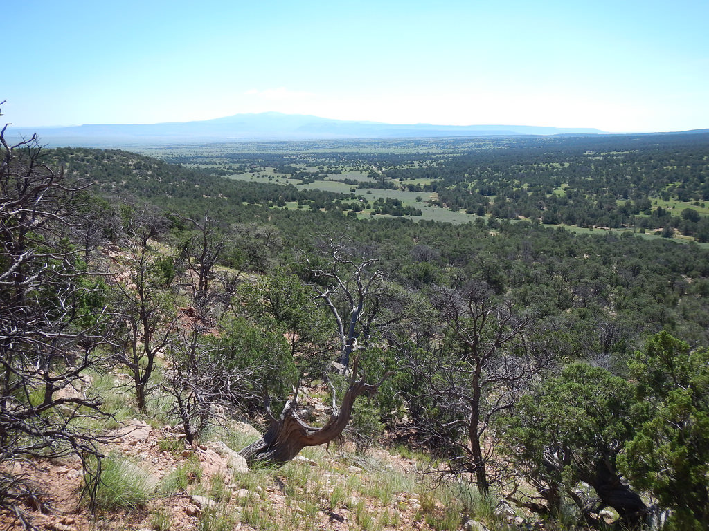 Bluewater Heritage Ranch New Mexico Land Conservancy