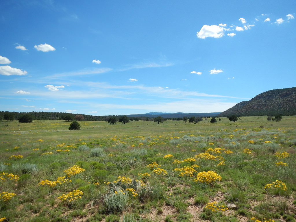 Bluewater Heritage Ranch New Mexico Land Conservancy
