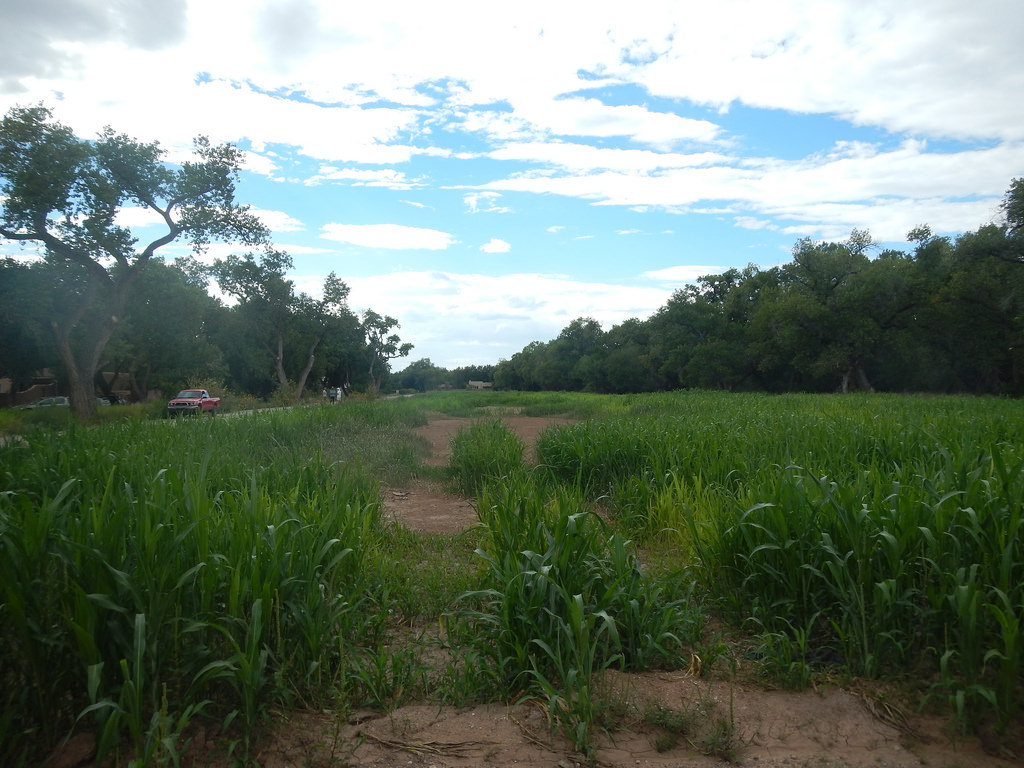 Boyd Farmland New Mexico Land Conservancy