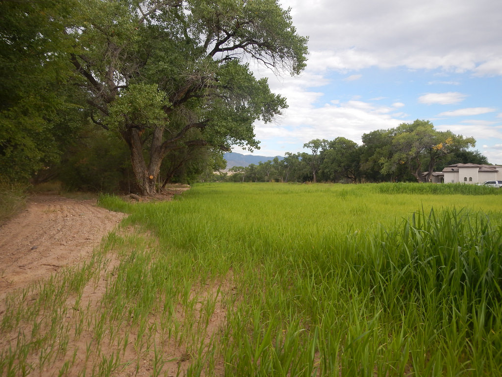 Boyd Farmland New Mexico Land Conservancy