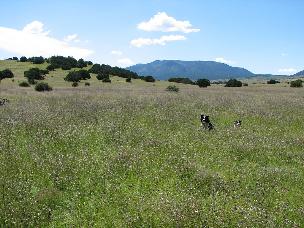 Carrizo Valley Ranch New Mexico Land Conservancy