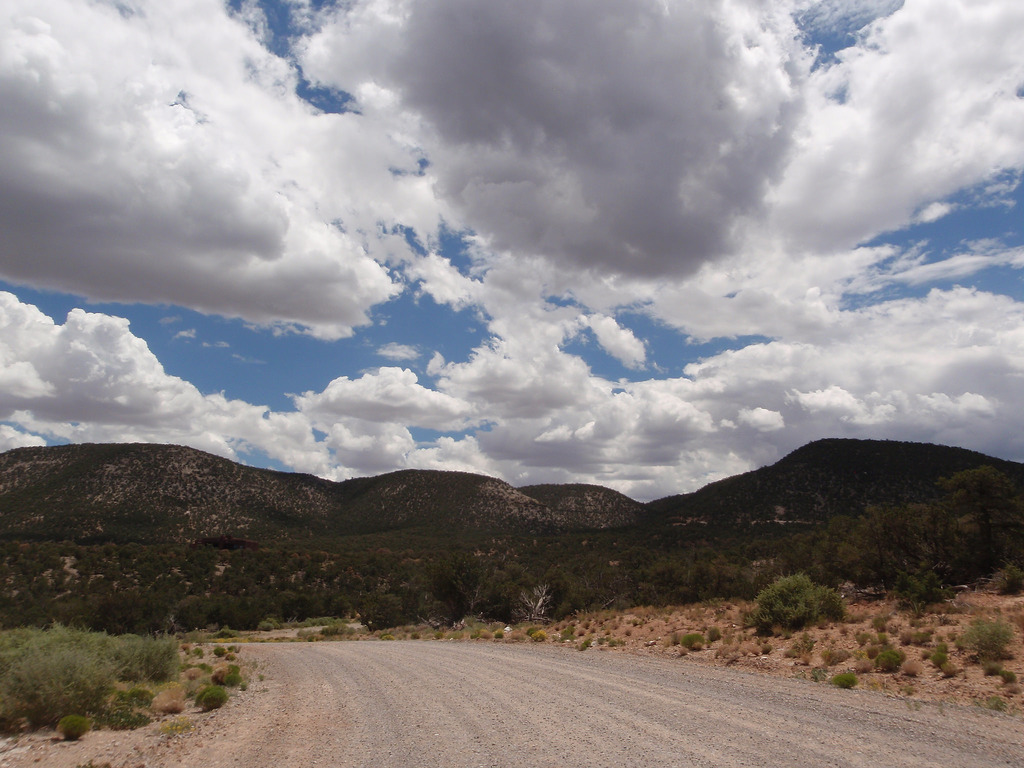 Deer Canyon Preserve New Mexico Land Conservancy