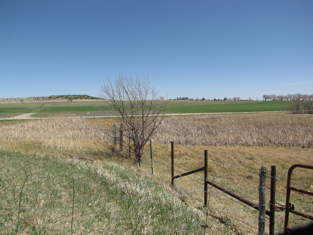 Tyson Property New Mexico Land Conservancy