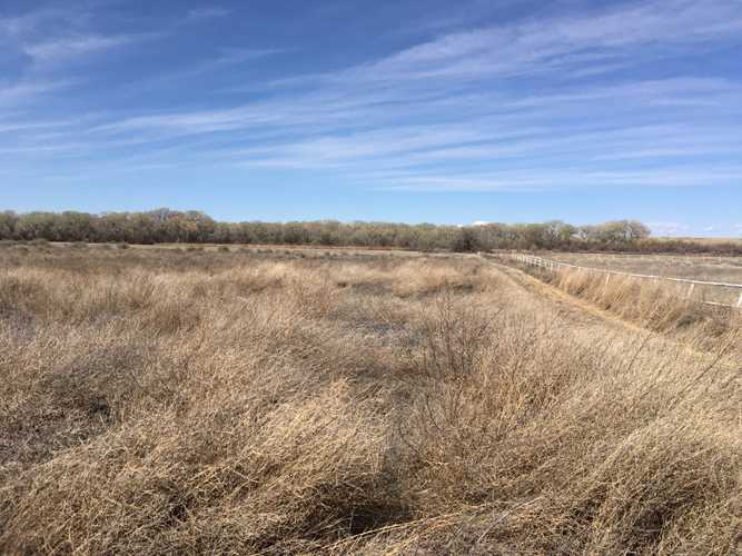 Rio Abajo Conservation Area New Mexico Land Conservancy