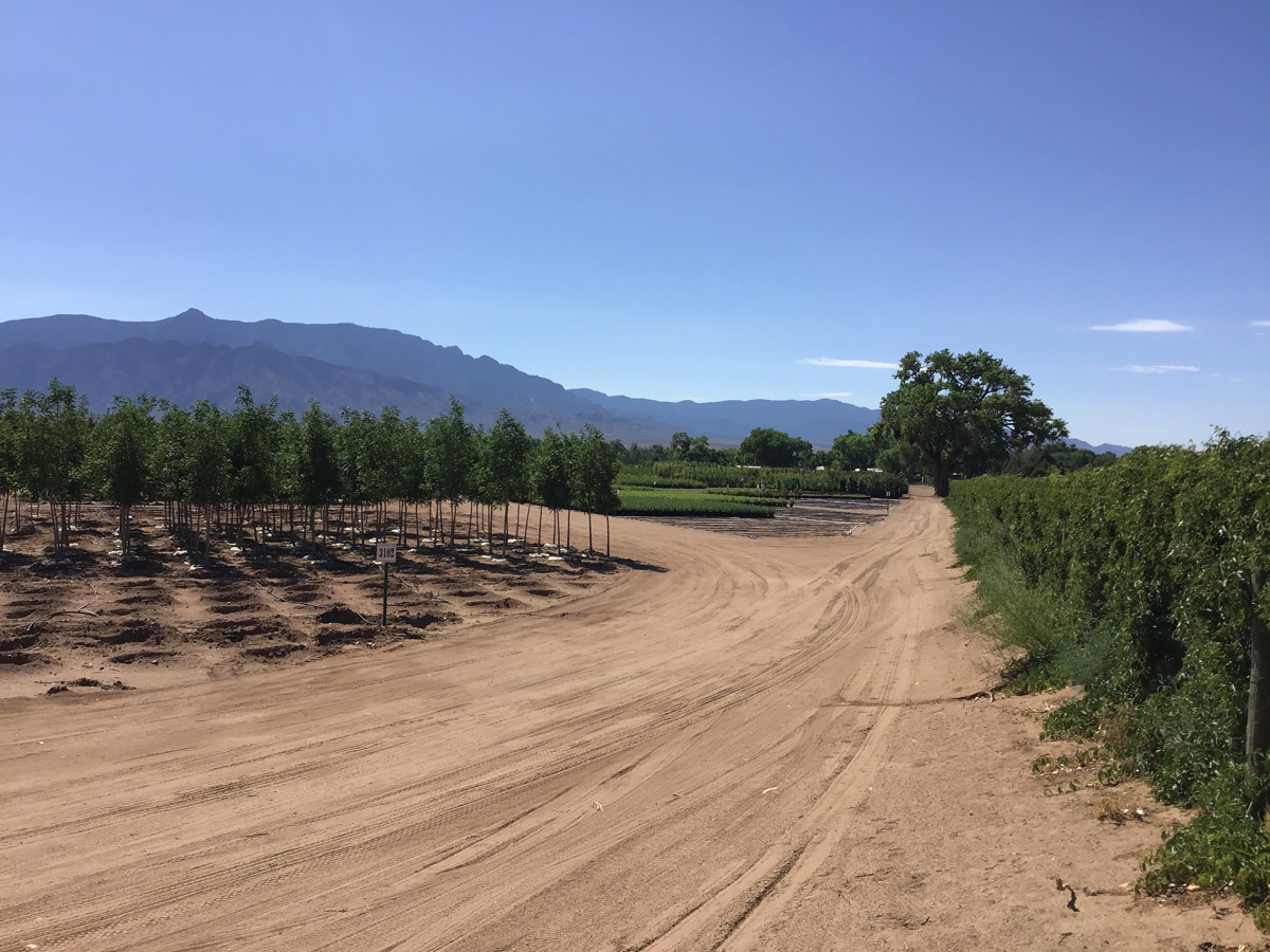 Corrales Gateway New Mexico Land Conservancy