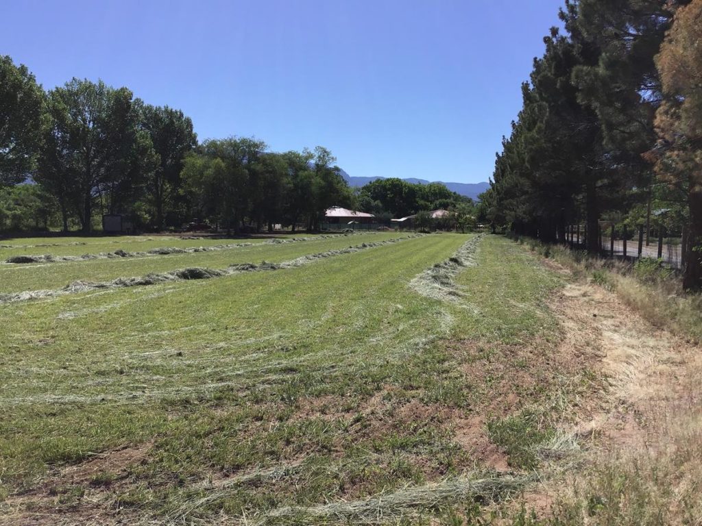 Kendall Property New Mexico Land Conservancy