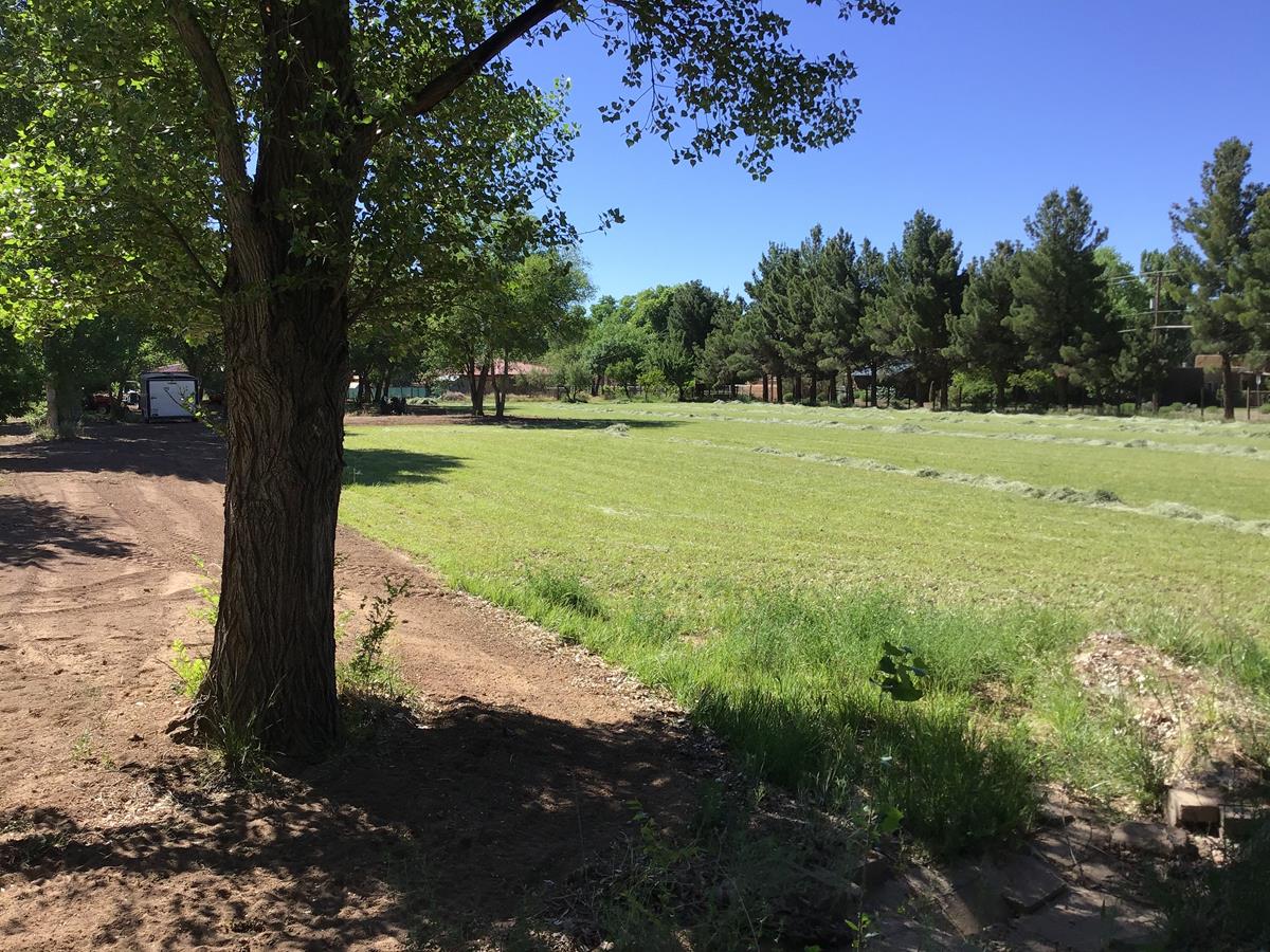 Kendall Property New Mexico Land Conservancy