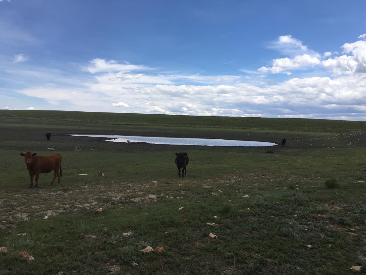Phoenix Ranch West New Mexico Land Conservancy
