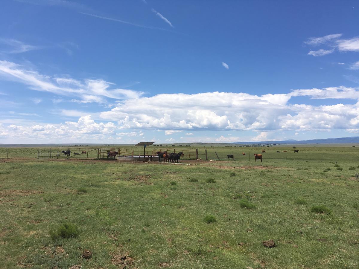 Phoenix Ranch West New Mexico Land Conservancy
