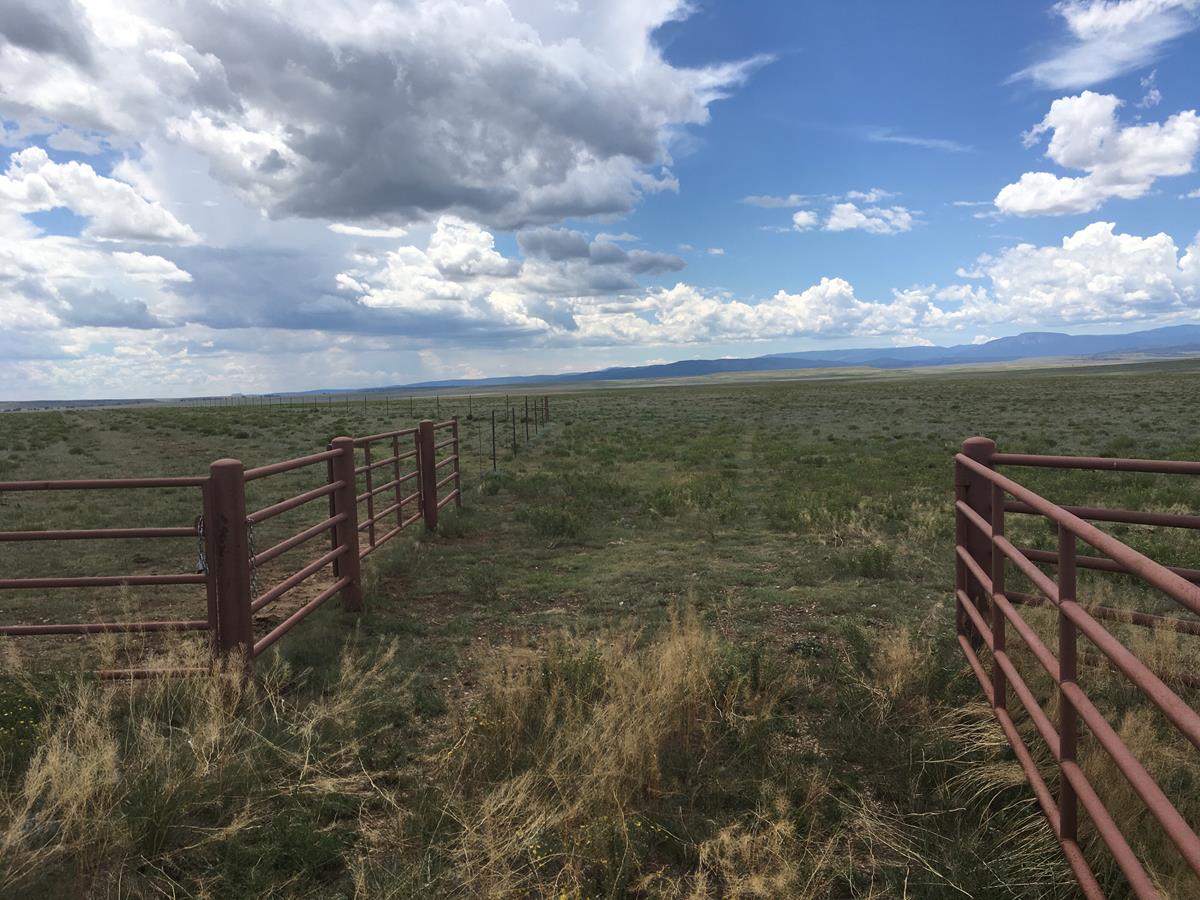Phoenix Ranch West New Mexico Land Conservancy