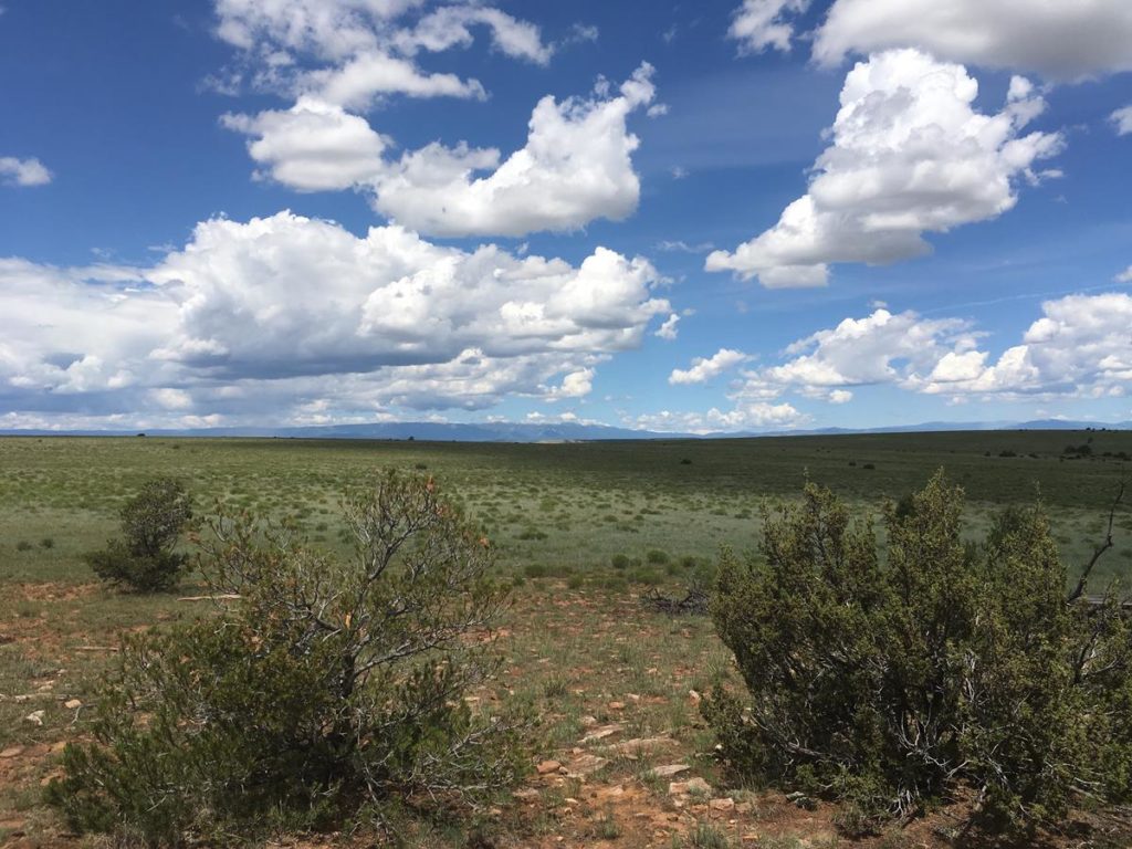 Phoenix Ranch West New Mexico Land Conservancy