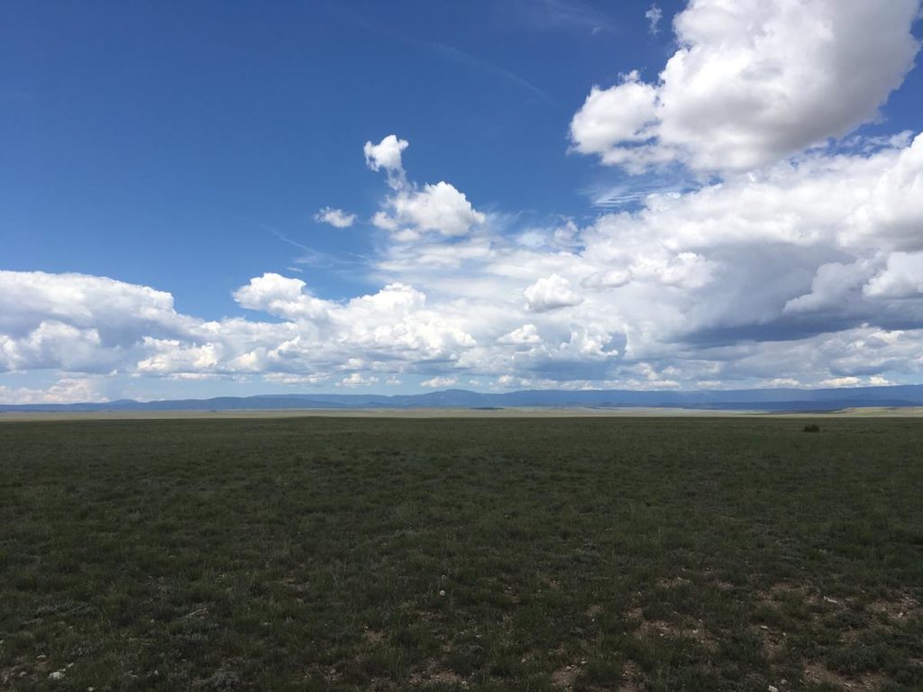 Phoenix Ranch West New Mexico Land Conservancy