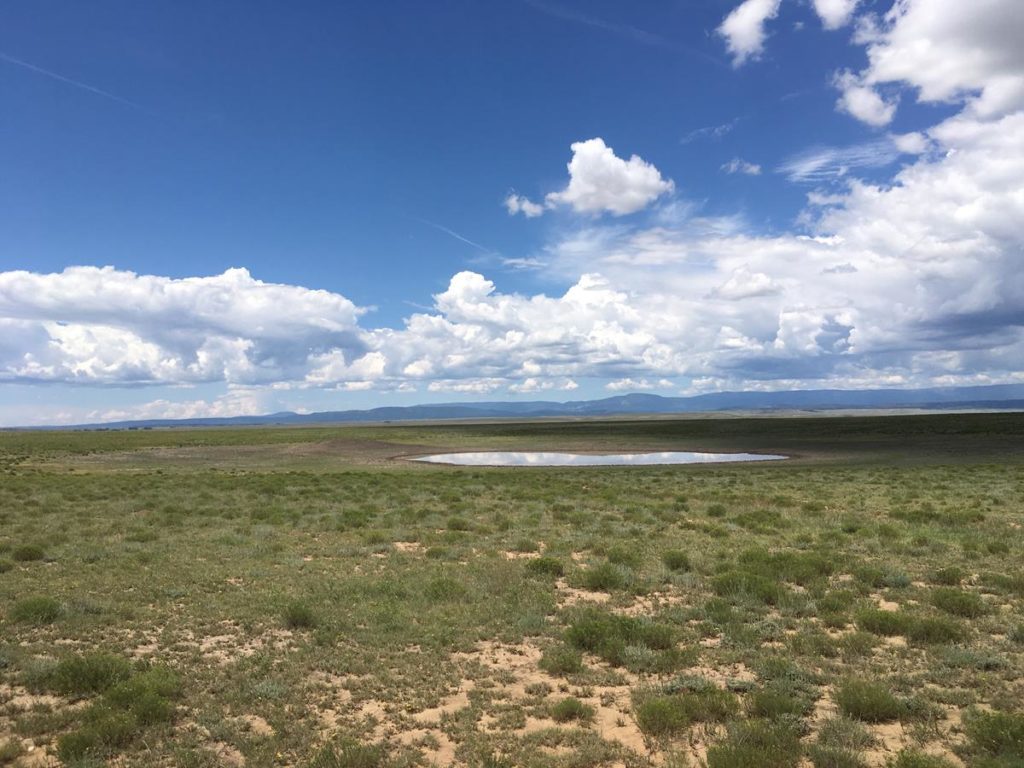 Wagon Mound Ranch New Mexico Land Conservancy