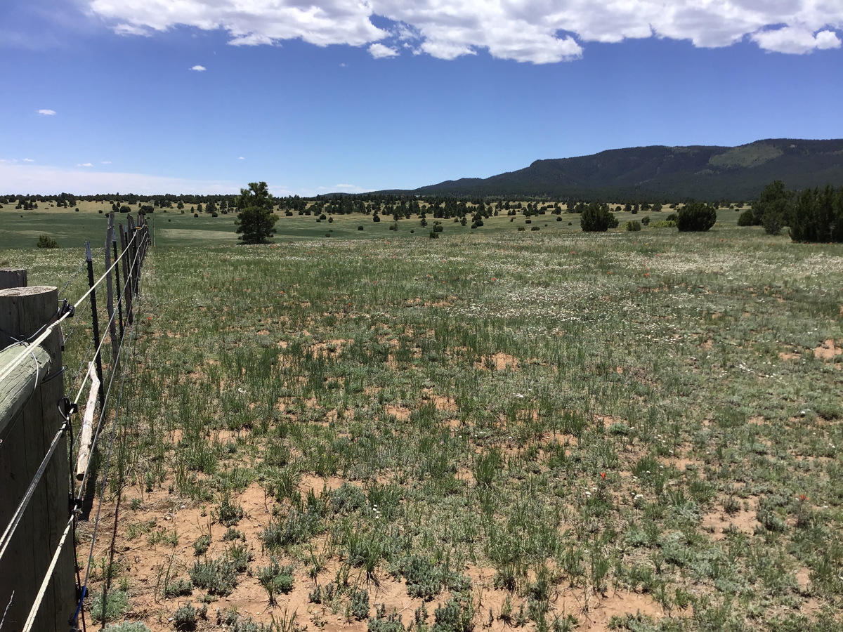 Rampart Ranch New Mexico Land Conservancy