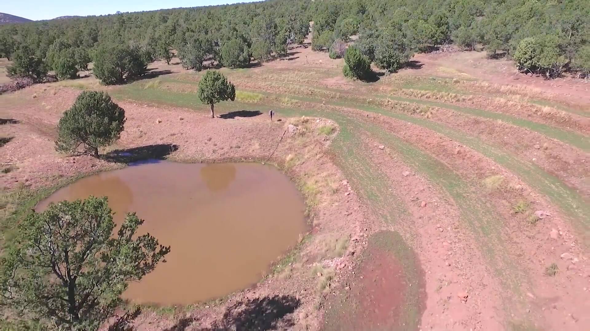 New Mexico Hunting Ranches for Sale Cattle Ranches 4 Sale