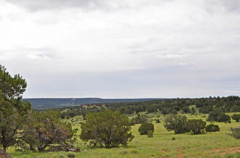 New Mexico cattle ranch properties for sale