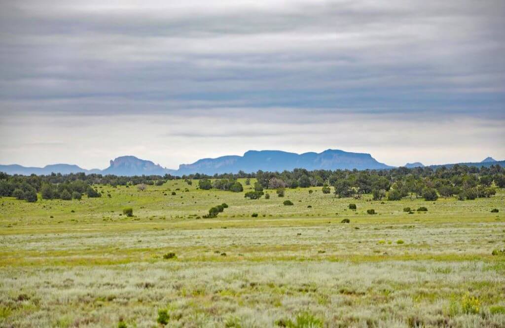 new mexico hunting ranch for sale