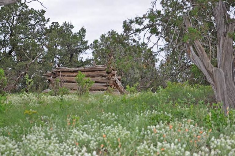 New Mexico historic ranches for sale