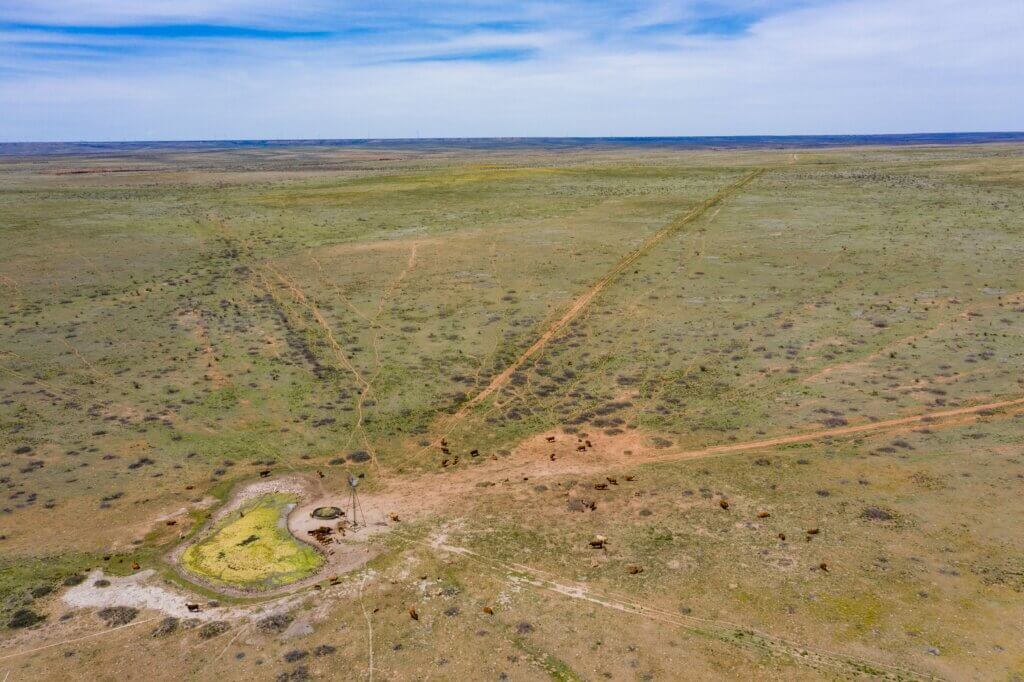 New Mexico Hunting Ranches for Sale Cattle Ranches 4 Sale