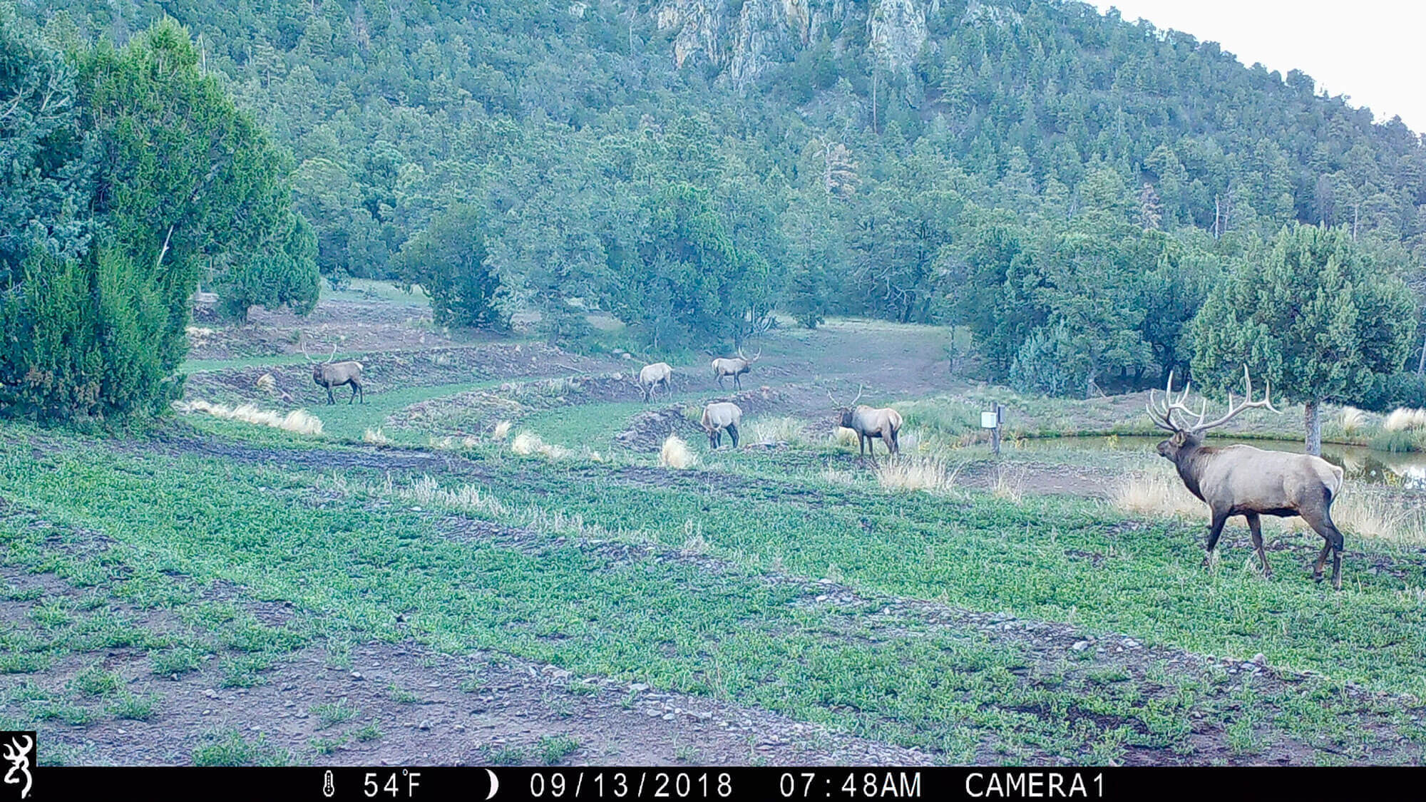 New Mexico Hunting Ranches for Sale Cattle Ranches 4 Sale