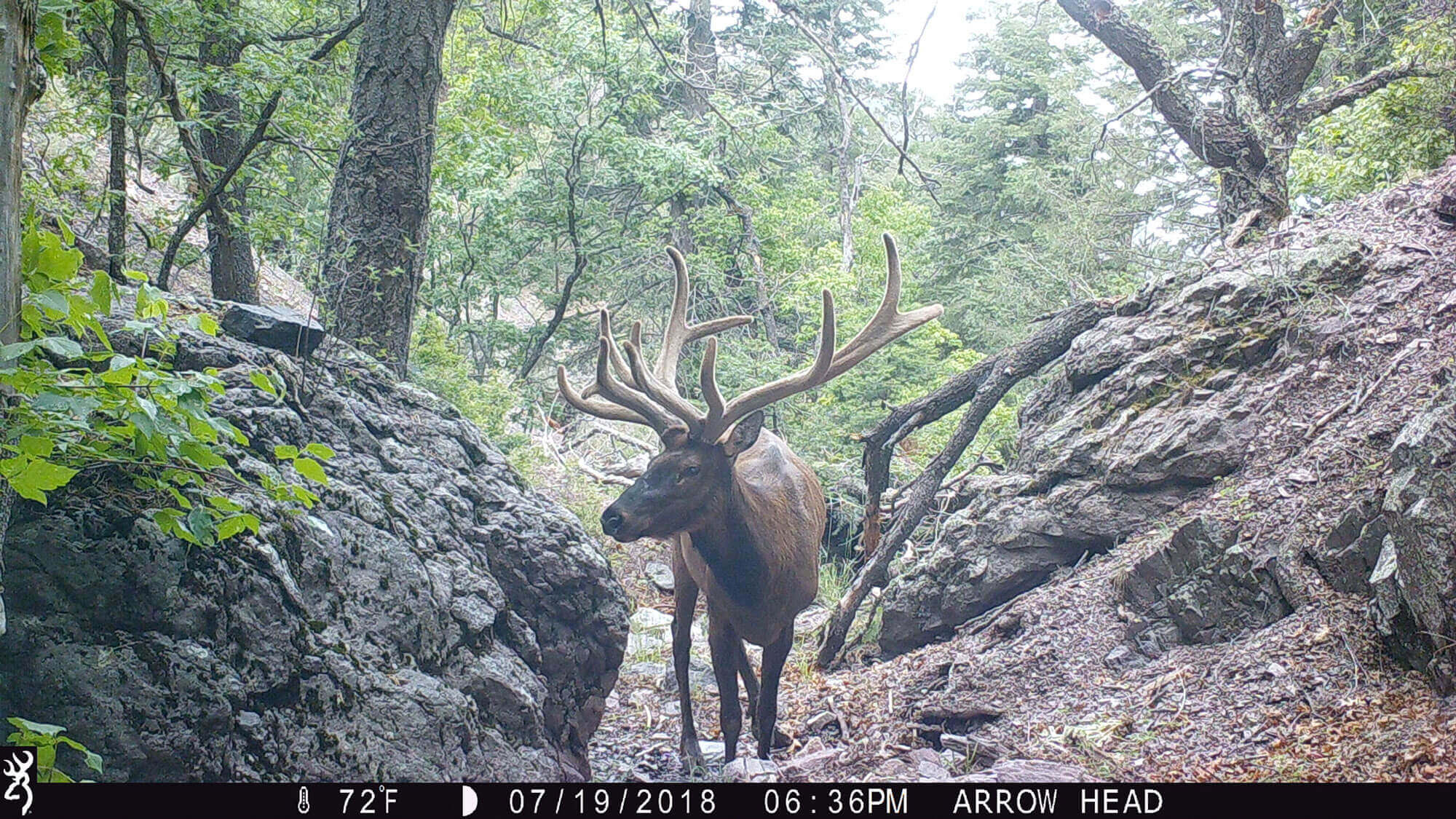 New Mexico Hunting Ranches for Sale Cattle Ranches 4 Sale