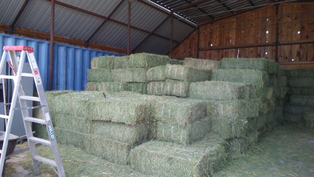 Avery Ranch