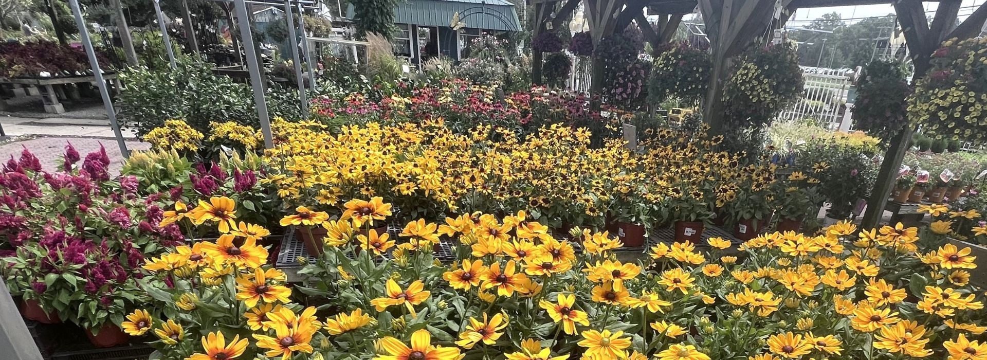 Bobs Garden Center, Garden Center South Jersey, Plant Nursery South