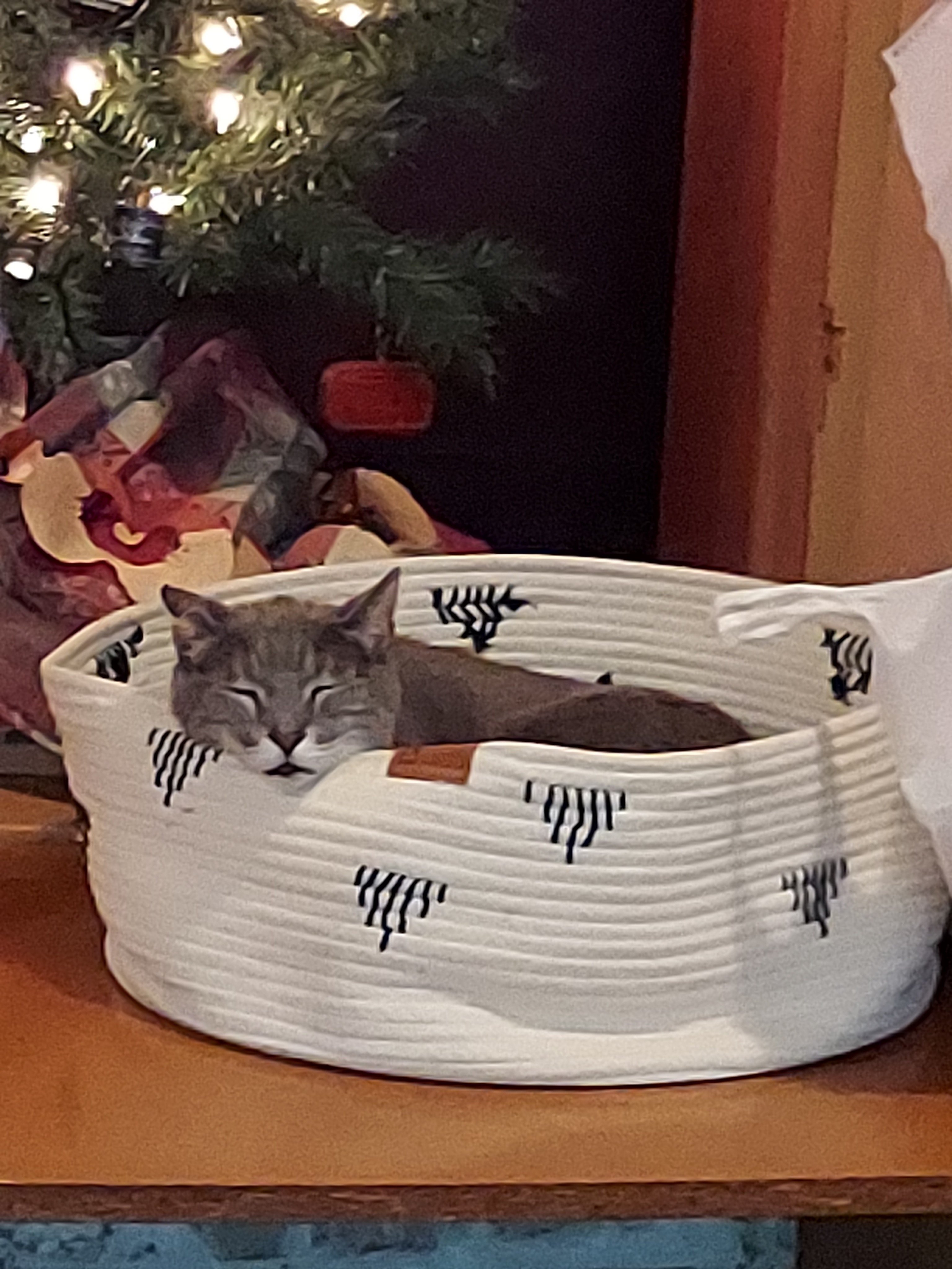 Check Out Our Pack Wiscoy Pet Food Co. State College, PA