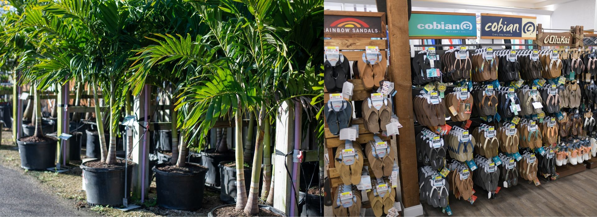 MRT Venice FL, MRT Landscaping FL, Garden Center Venice fl MRT Lawn