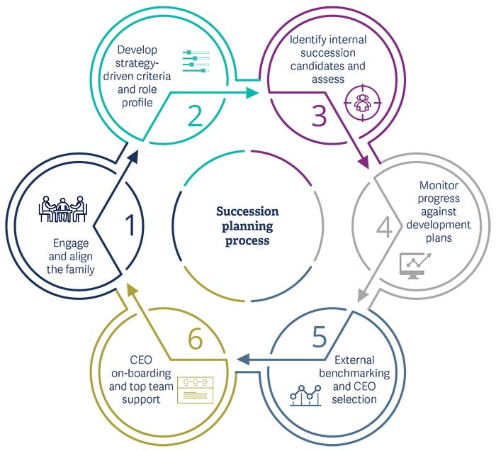 Transition and Succession Consulting Global Consultants NMS