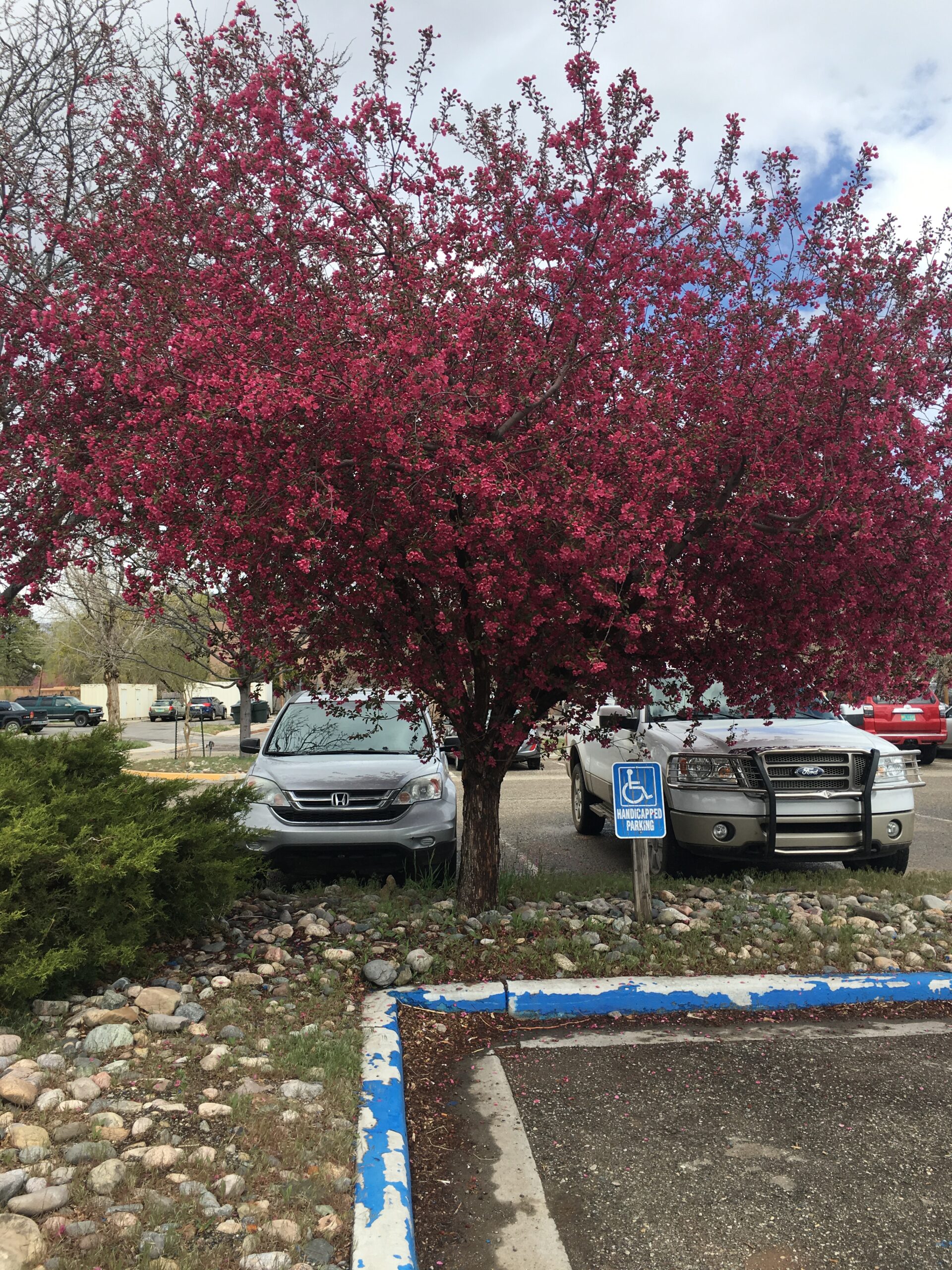 Library visits to Hatch, Silver City and Taos New Mexico State Library