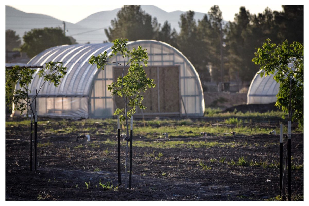 Small Village New Mexico project 4 Anthony, New Mexico NMSU SHOOTERS