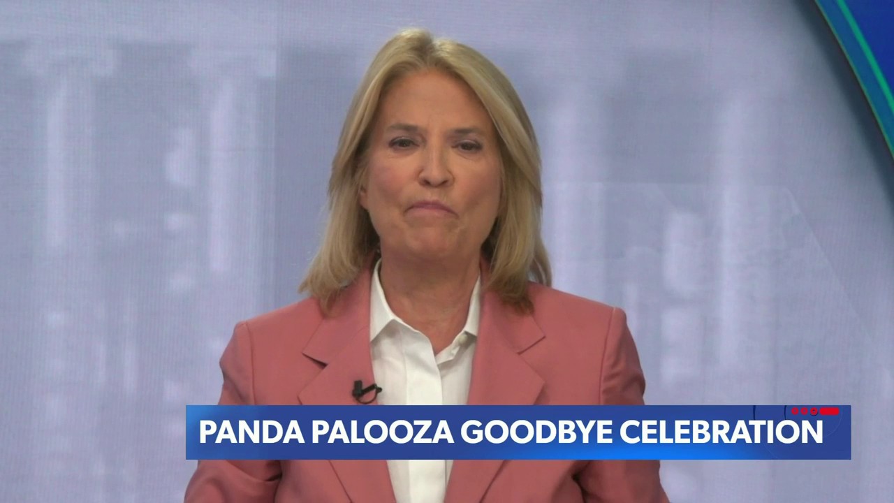 NEWSMAX TV Live News Videos The Record With Greta Van Susteren