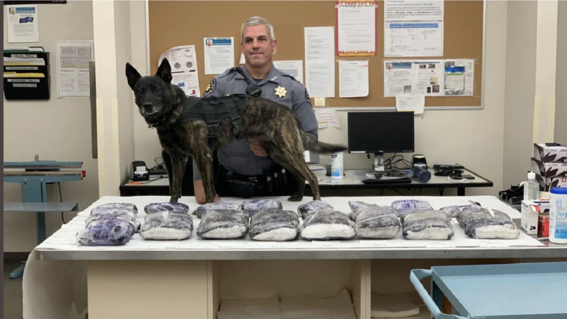 K9 assisted in 500k meth bust in Colorado National Narcotic Detector