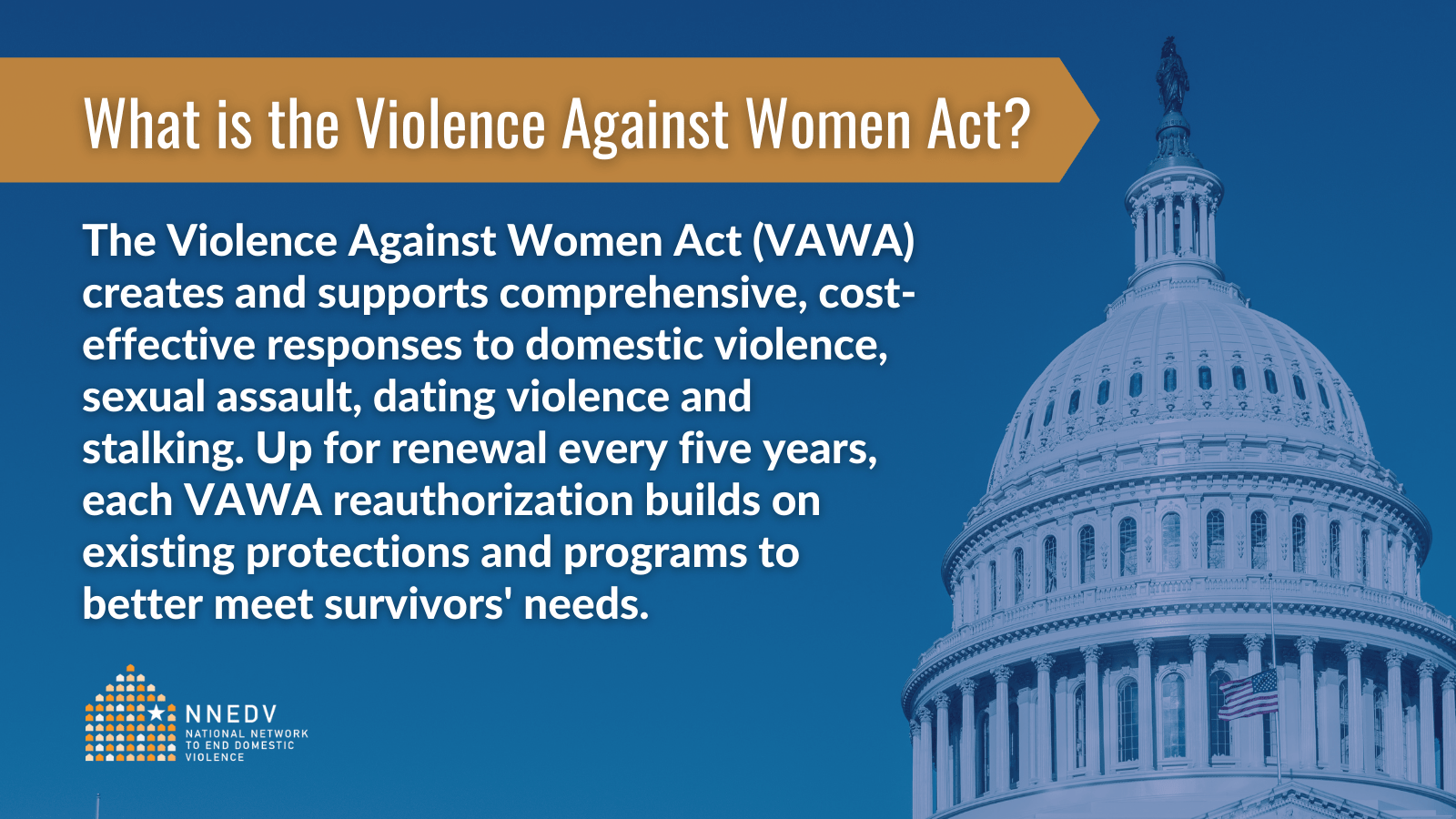 Violence Against Women Act NNEDV