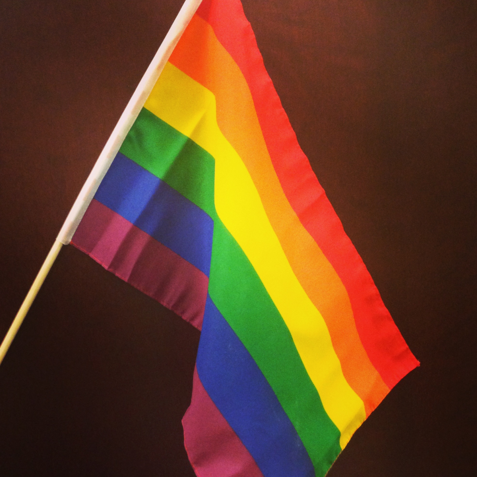 You may see a variety of flags during pride month.this includes, of course, the iconic rainbow flag that has represented pride in the lgbtq community for more than 40 years. Pride Month: NNEDV Stands With the LGBTQ Community