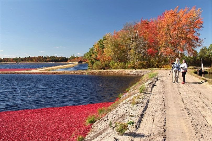 NNJR Off Road Pine Barren OffRoad Excursion NNJR Porsche Club of