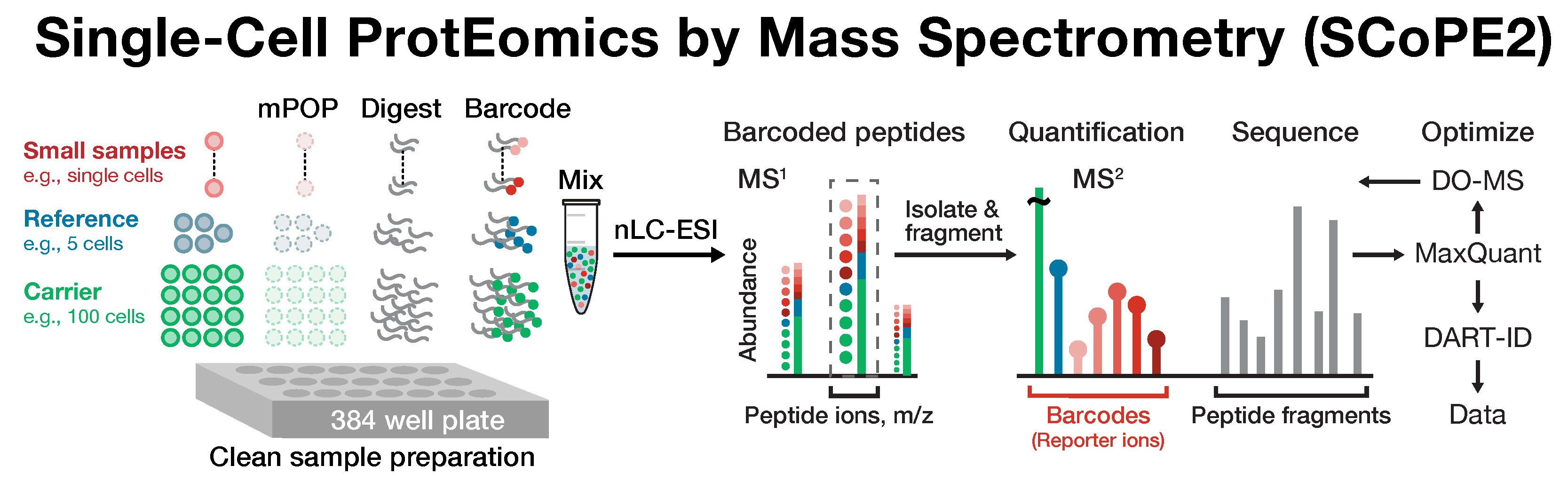 Single Cell Proteomics Slavov Lab Blog