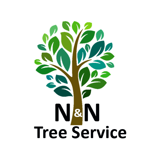 N & N Tree Service