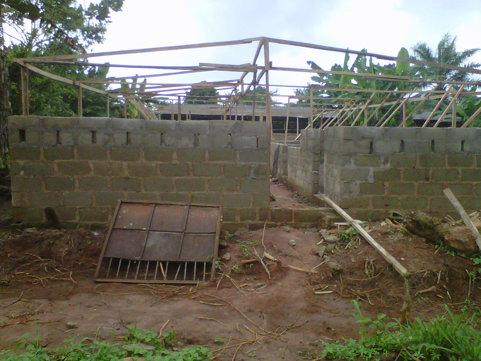 Design and Construction Of Piggery Pens In Nigeria No1 Pig Fan