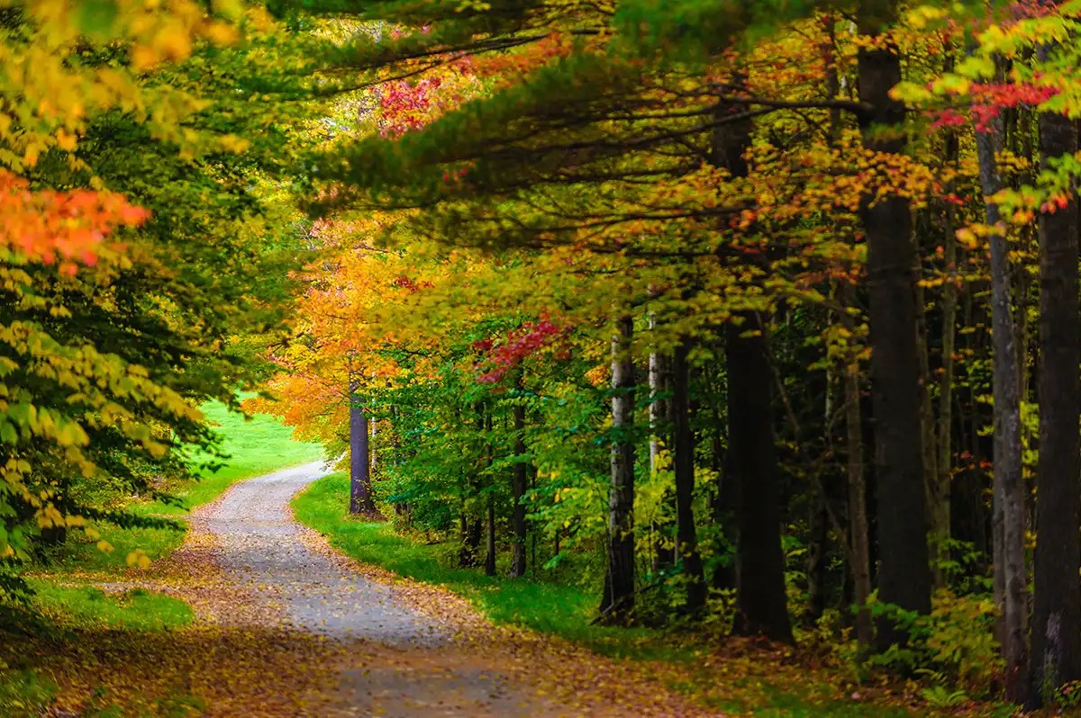 Elevate Your Next Hiking Vacation — No. 28 Park, Brandon, VT