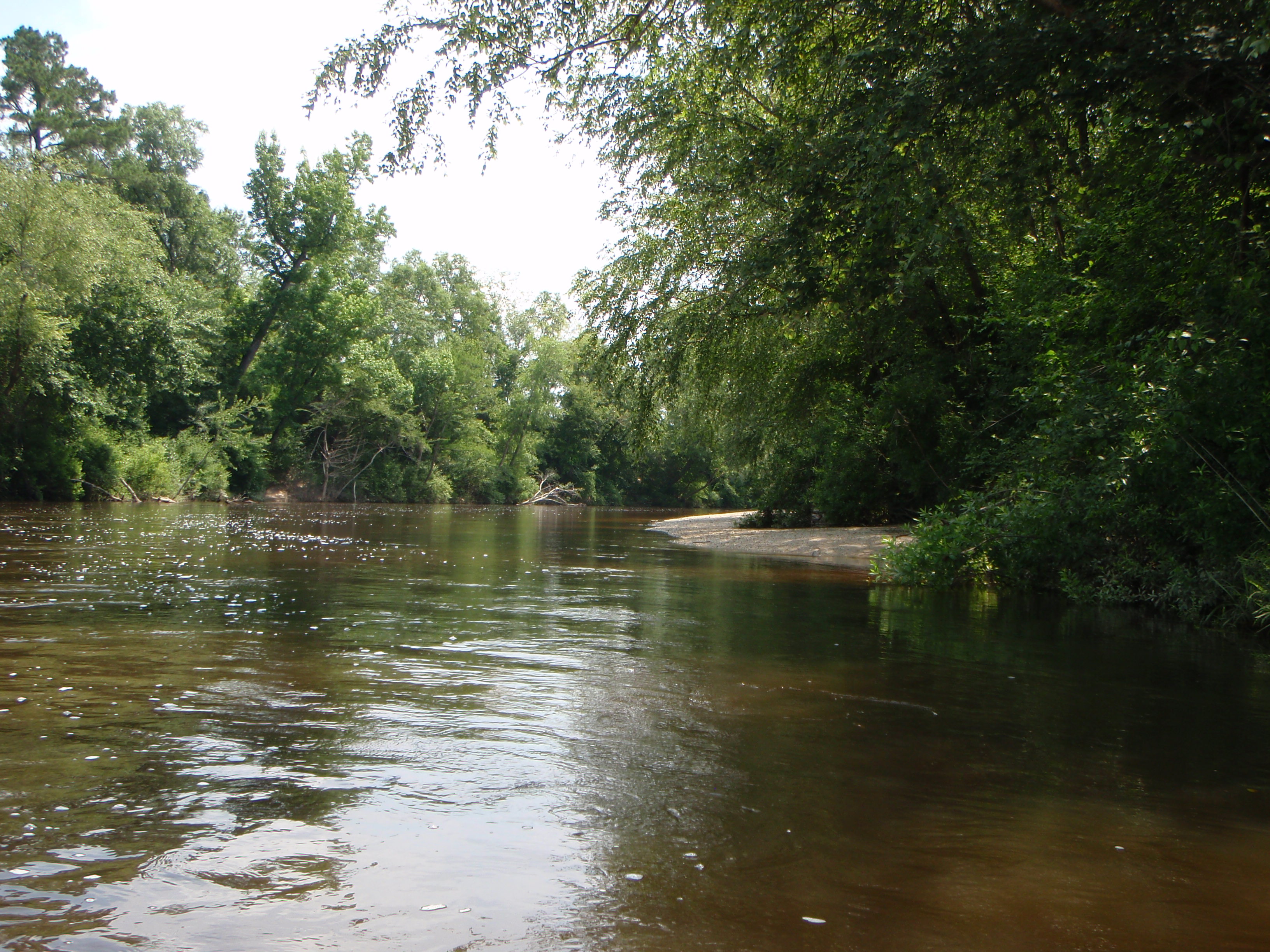 Wolf River Paddle NO Adventure