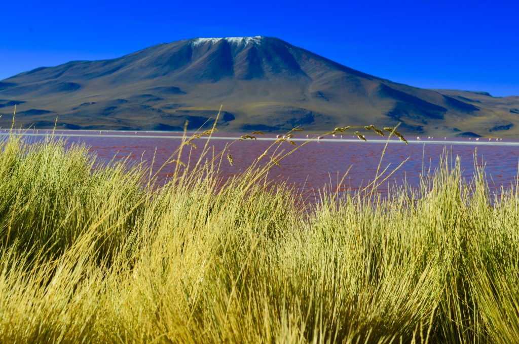 The Land of Silver & Salt Southern Bolivia Noah.How