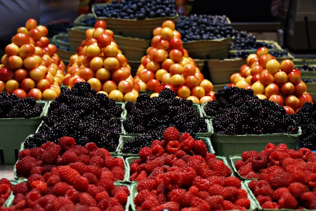 Your Guide to the Best Farmers Markets in Montgomery County NOAHS