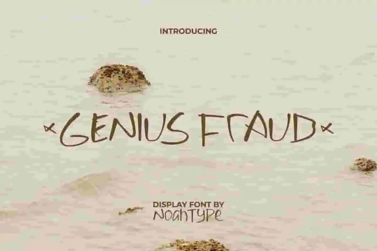 Genius Fraud Display Font by NoahType Studio(06)