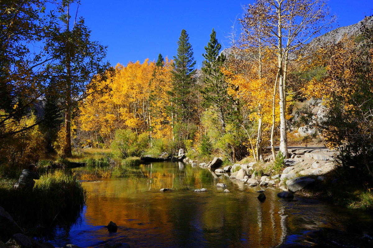 Finding Fall Colors in California No Back Home