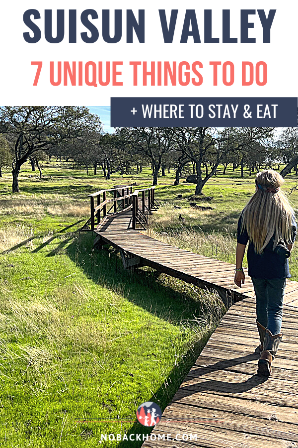 Explore the Suisun Valley A Vibrant Emerging Family Destination No